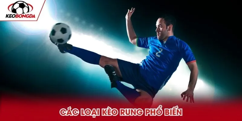 Các loại kèo rung phổ biến