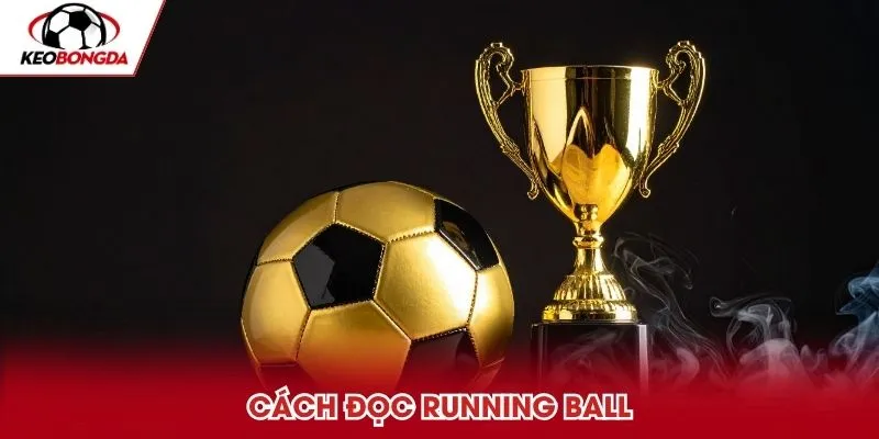 Cách đọc kèo rung