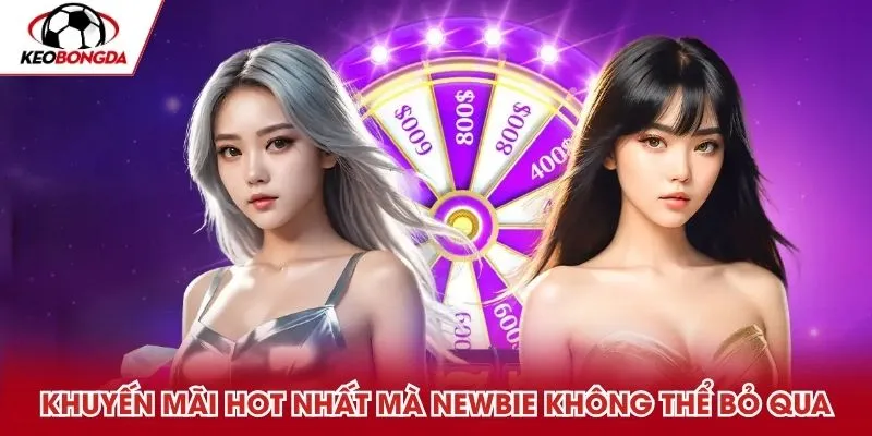 Khuyến mãi hot nhất mà newbie không thể bỏ qua
