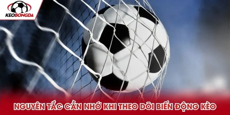 Những nguyên tắc cần nhớ khi theo dõi biến động kèo