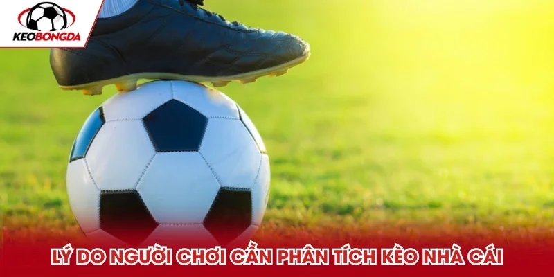 Lý do người chơi cần phân tích kèo nhà cái