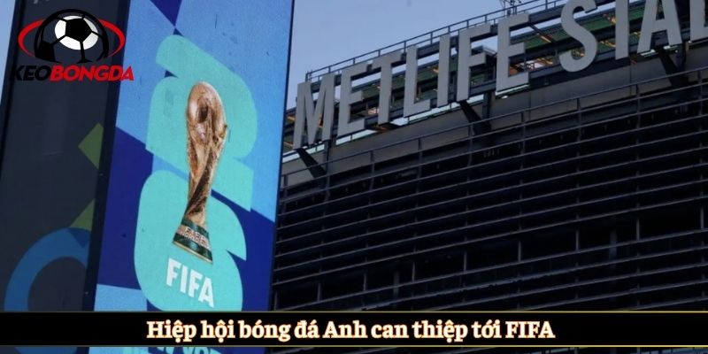 Hiệp hội bóng đá Anh can thiệp tới FIFA